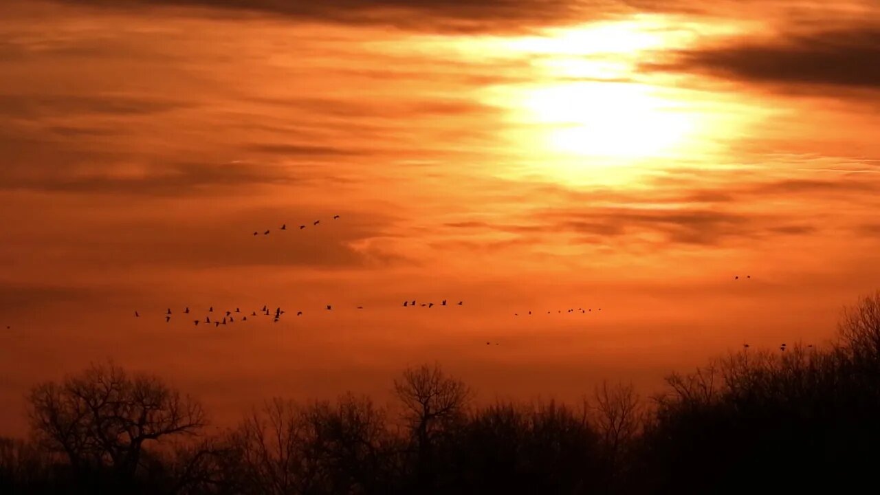 3948 Days Left For Planet Earth