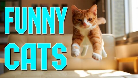 Funny cats 2021 | Cats compilation | Cute Cats and Funny Animals