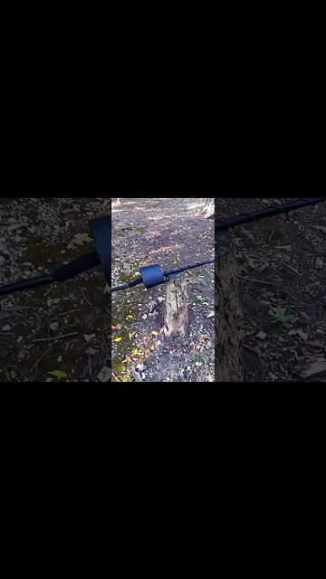 "When the leaves are as gold on the evening side of the ⛰= 🪙🥈"