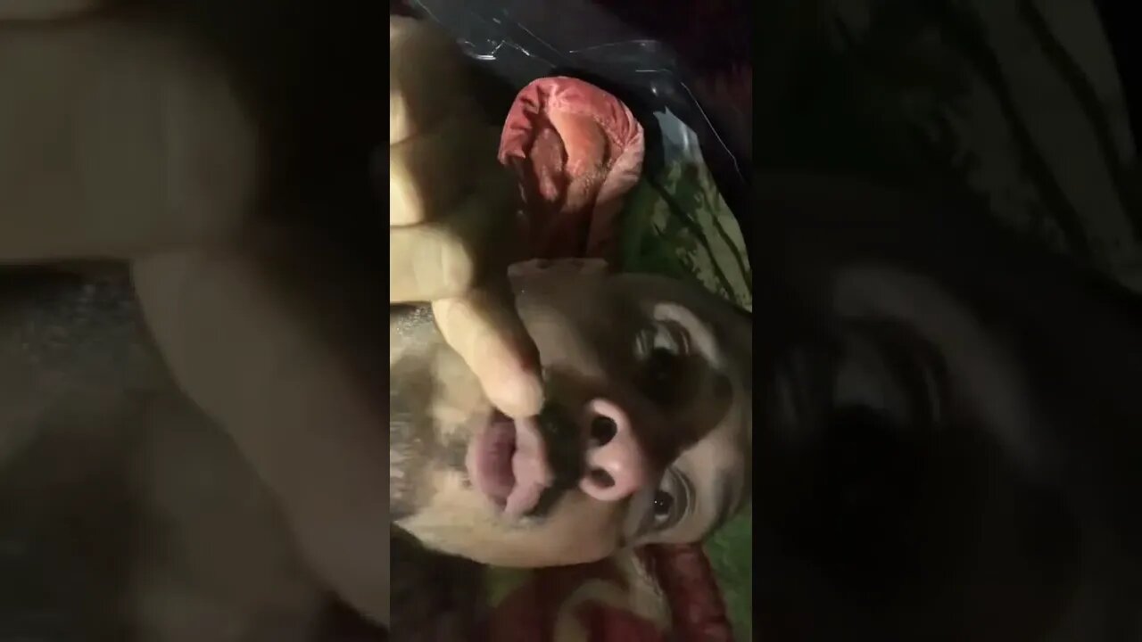 Boxing Tyson fury fans disrespects Usyk its chop up time 2022