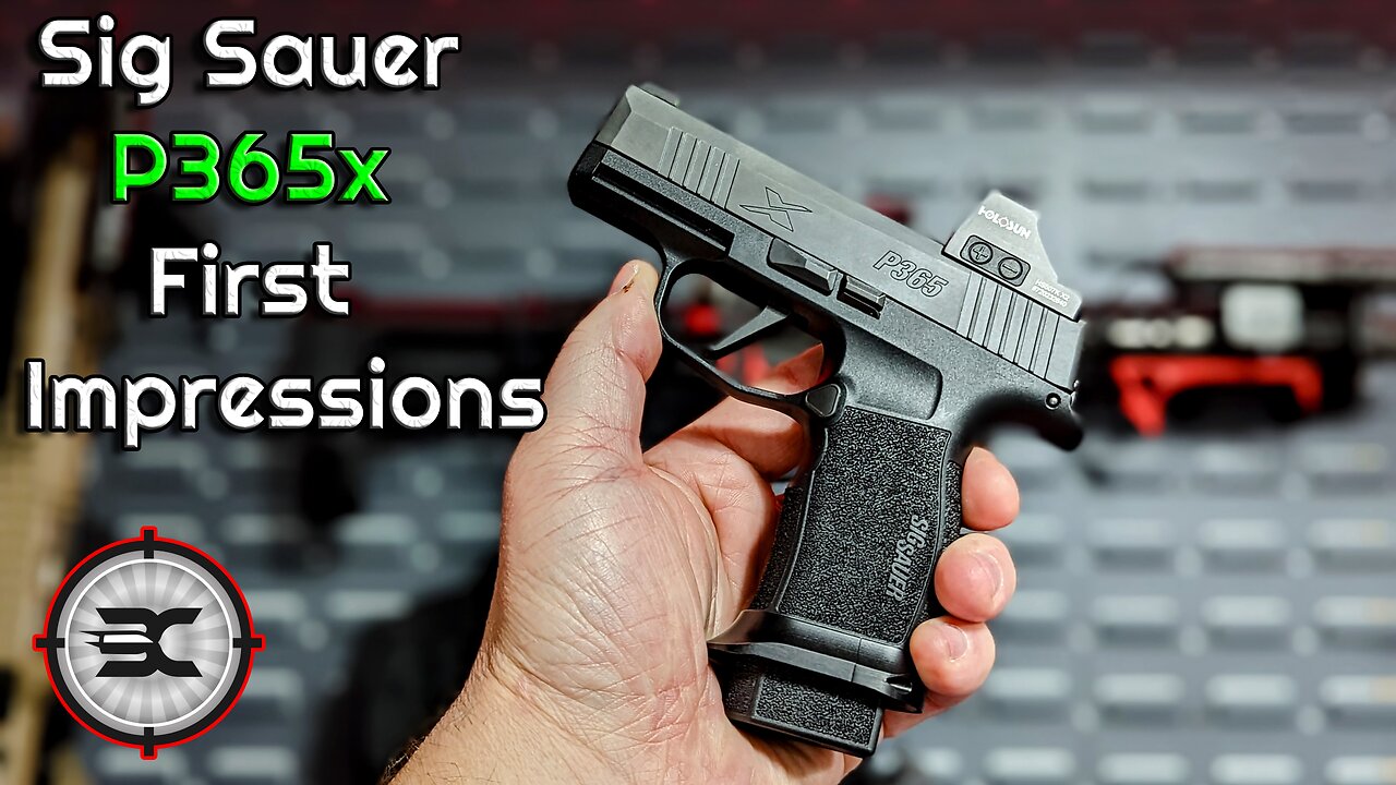 Sig sauer P365 X overview