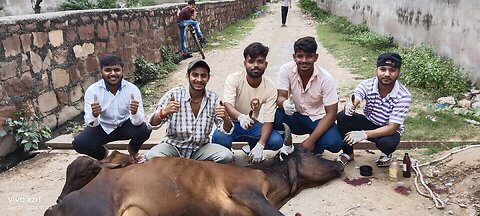 Gau Treatment