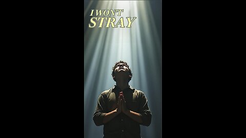 I Won't Stray