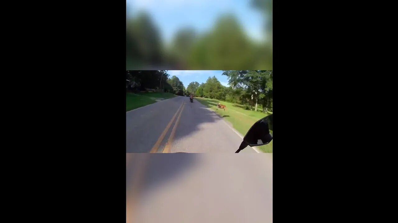 hello there!...😮😂