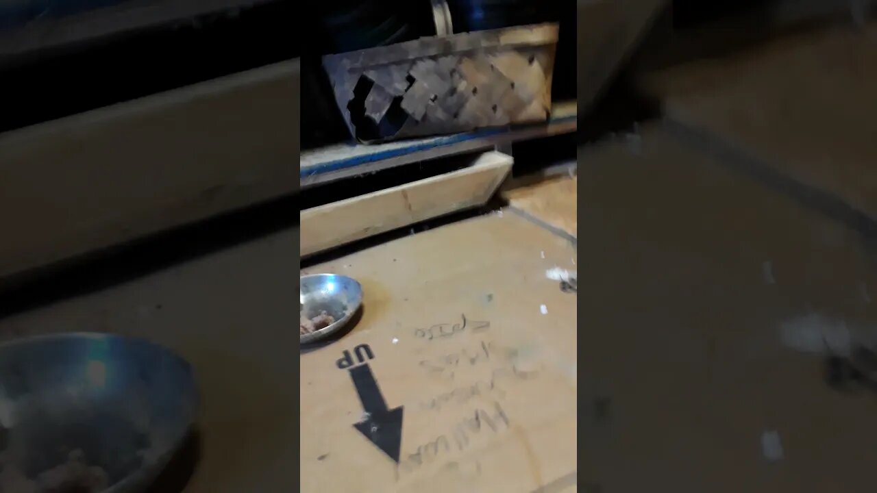 Never realized the cat had kittens