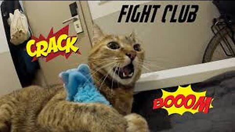 Best Funny Animal Videos of the year (2023), funniest animals ever. relax with cute animals video