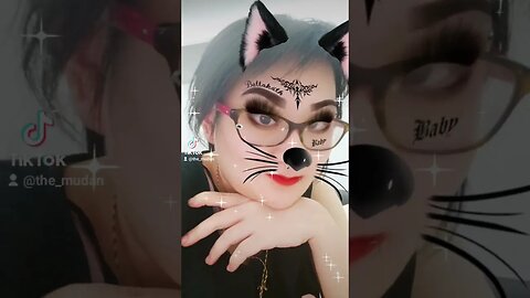 cat filter