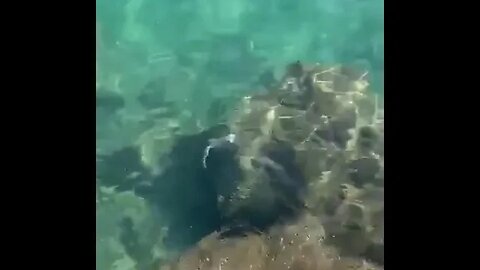 The sea is not only ours but everyone's❗🐟🎣