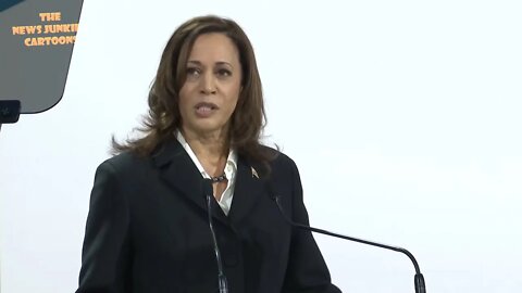 VP Harris blames everything on inequality.