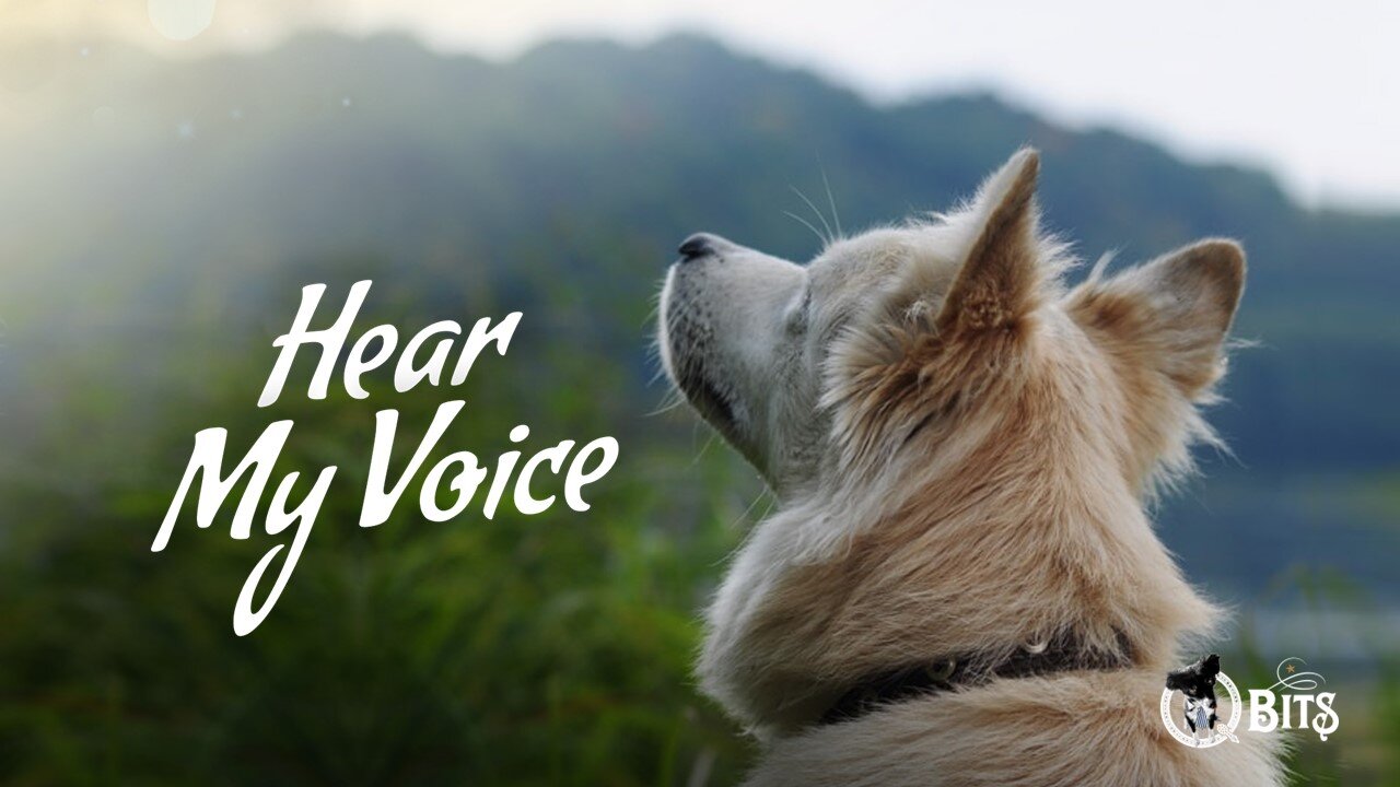#832 // HEAR MY VOICE - LIVE