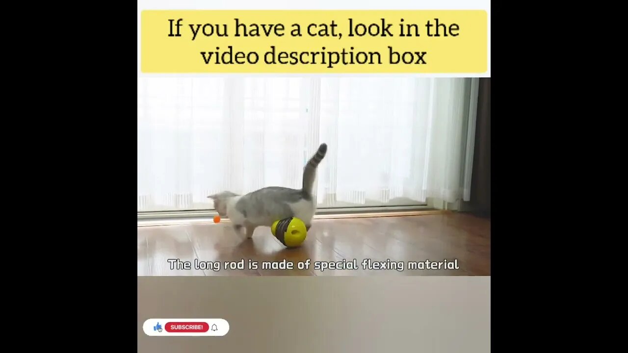 cute cat videos 😹 funny videos 😂138
