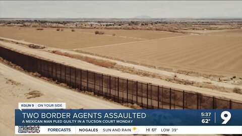 Mexican citizen pleads guilty to assaulting BP agents