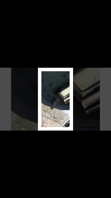 Breaking News As It Happens. **Warning** **Graphic Content** Viewer Discretion Advised 18+ #shorts