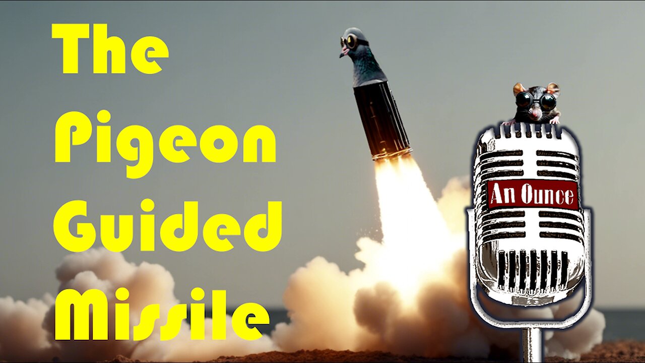 The Pigeon Guided Missile