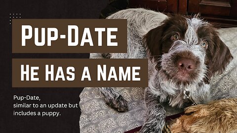 Pup-Date - He has a Name!