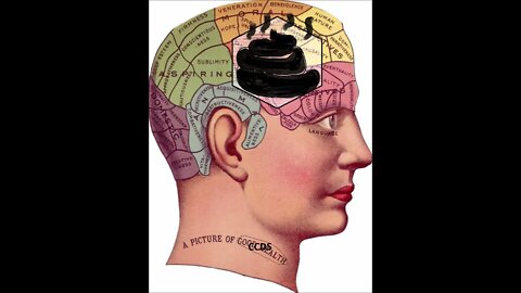 CCDS Mental Health Diagnosis