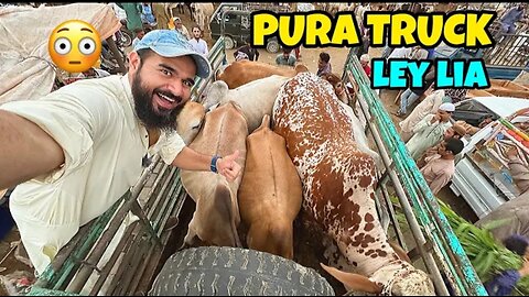 Adnan ko challenge dedia cow load karne ka 4 janwar aur lelye😍