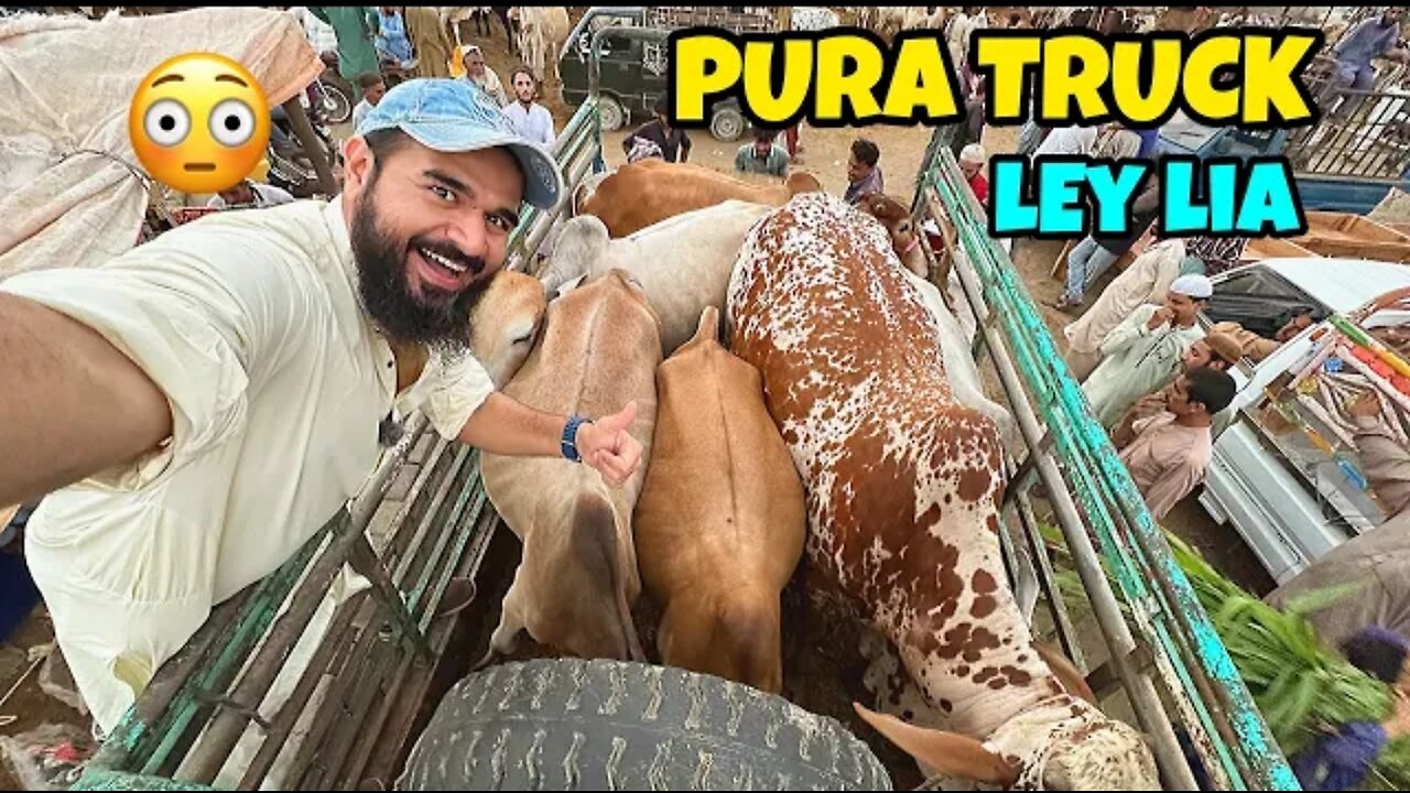 Adnan ko challenge dedia cow load karne ka 4 janwar aur lelye😍