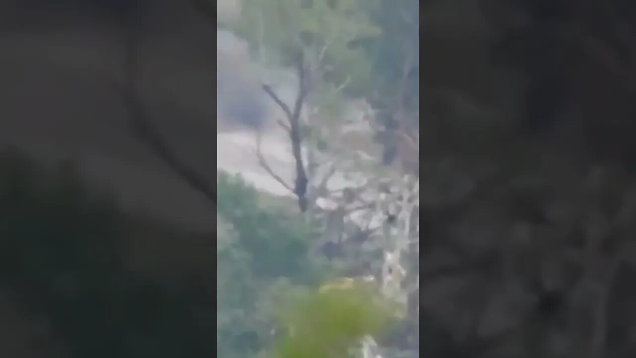 Breaking News (War-Related) #shorts