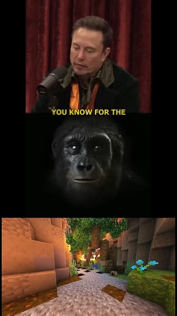 Elin musk is an inspiration