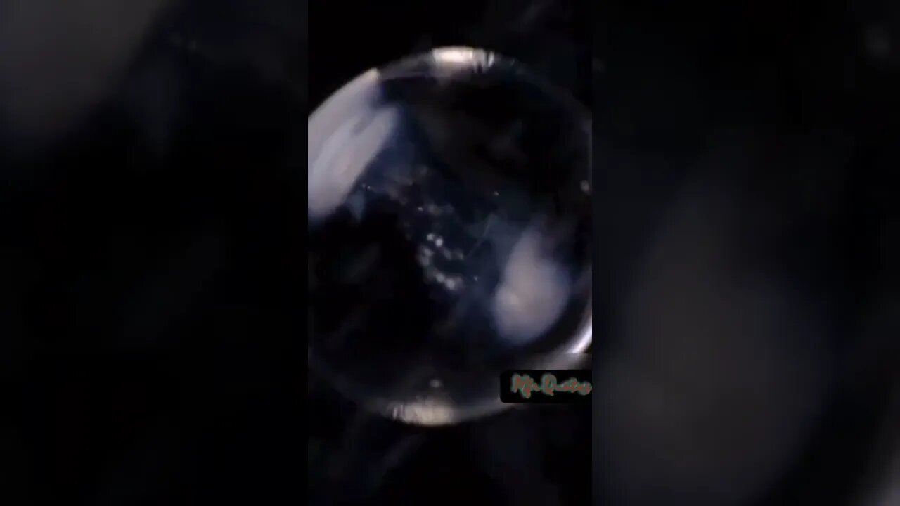 microscope amazing 🤩 scene of ultra zoom out #shorts