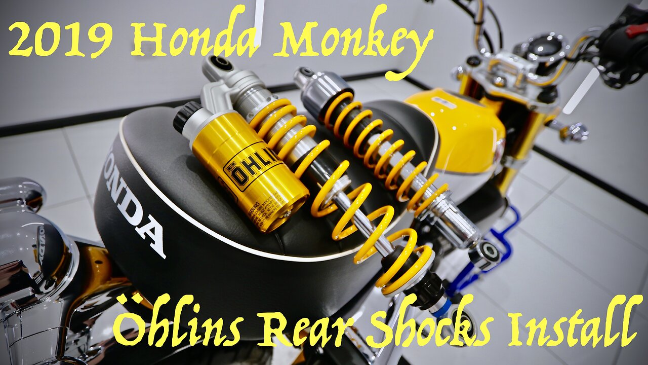 Homnda Monkey 125 Ohlins Suspention Upgrade Installation Guide!