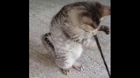 How is the rope work?😮😮😮