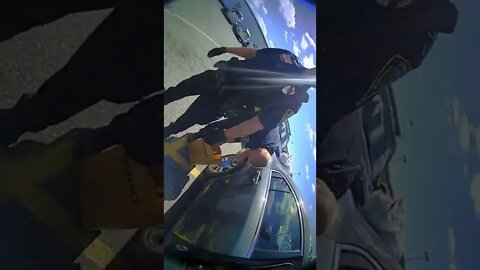 Law Police = Massive Nazi Cops Camp 56201