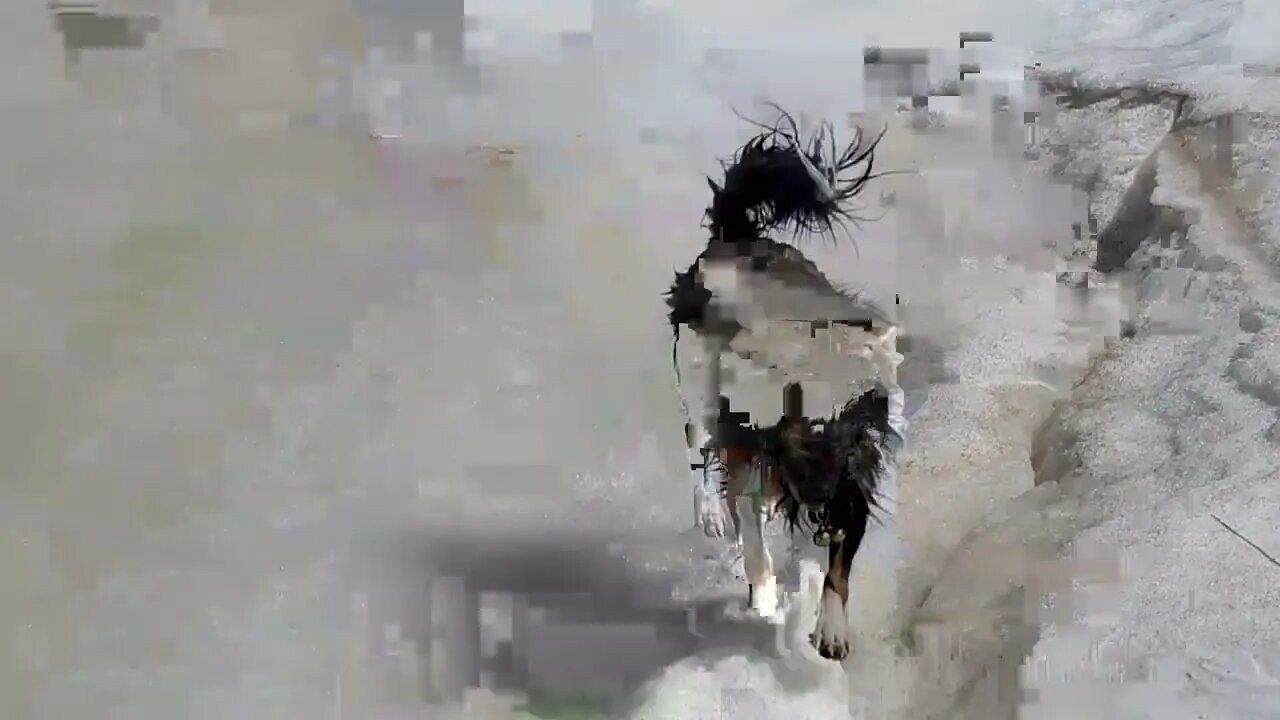 Springtime In Wyoming