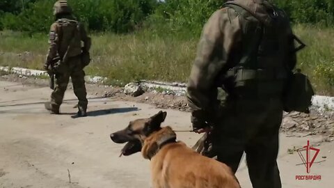 Russians find an abandoned French tank near the DPR