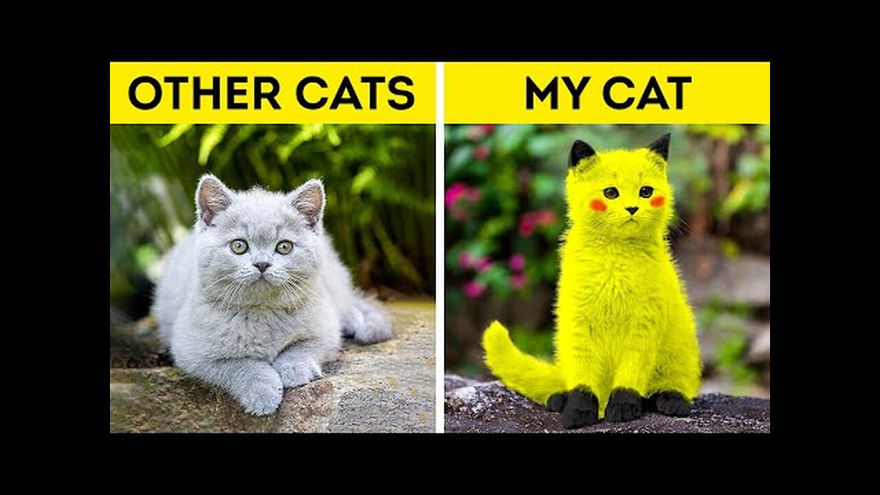 LOVELY CRAFTS AND GADGETS FOR YOUR PETS | Smart Hacks For Pet Owners || HD