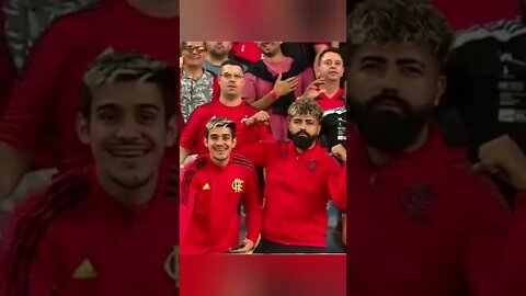 HERÓIS DA CLASSIFICAÇÃO #shorts #flamengo #gabigol #pedro