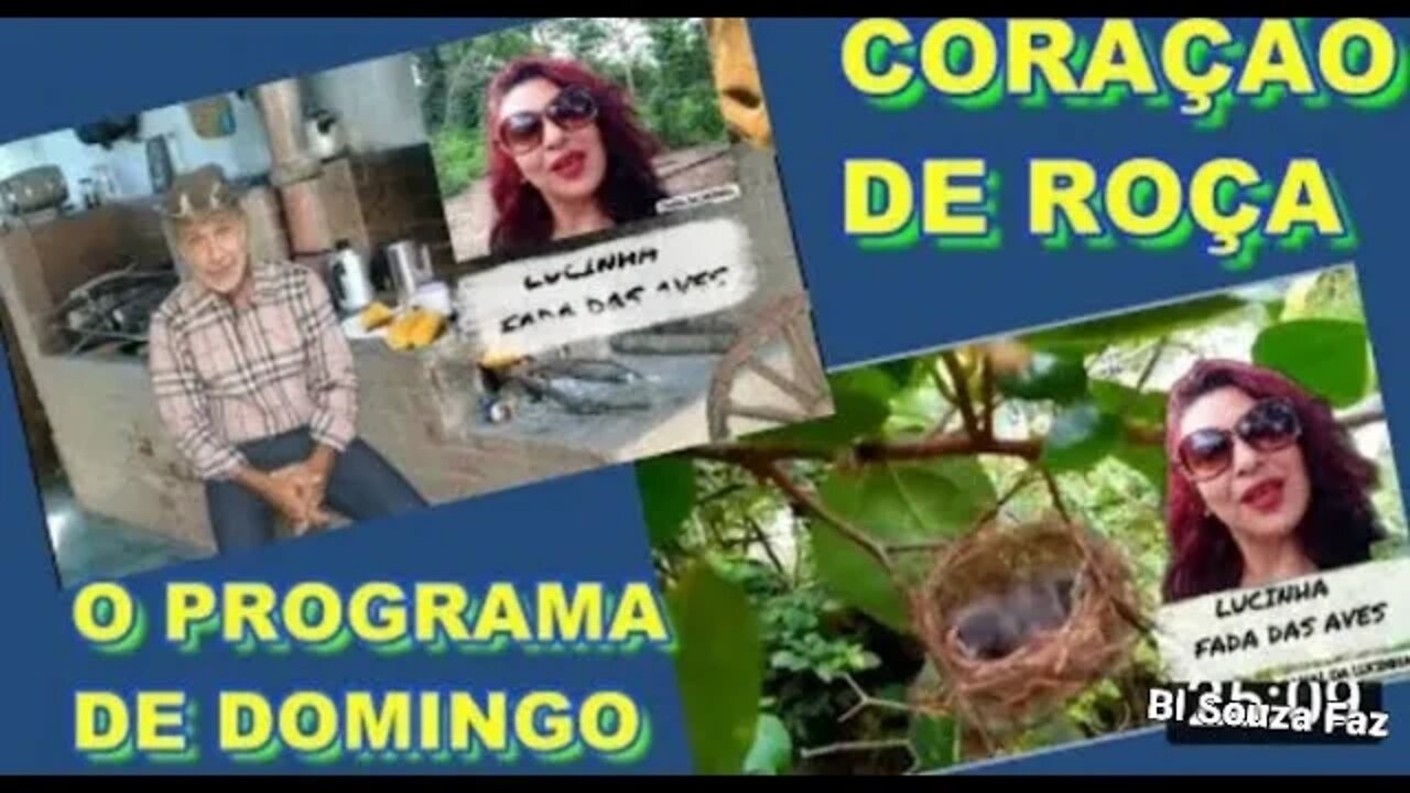 CORAÇÃO DE ROÇA ESPECIAL COM LUCINHA A FADA DAS AVES E UMA NOVA HISTÓRIA LINDA.