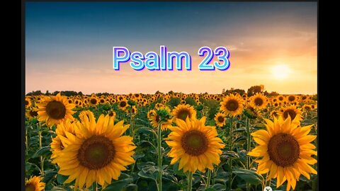 Psalm 23:1-6 The Passion Translation