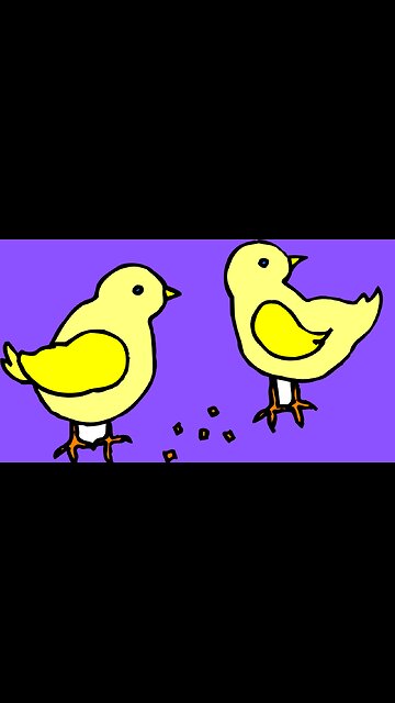 Bird Funny videos| Lovely Hen videos Chicken and Dog