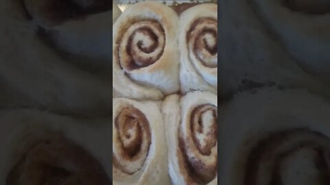 Mz Sungrown Cinnamon Buns