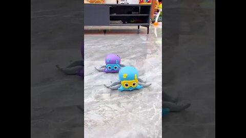octopus toy