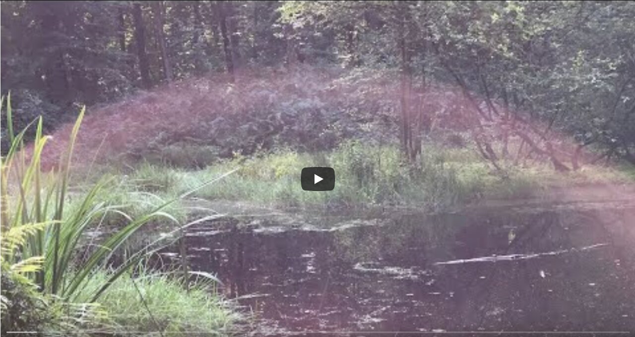 Mini Live Du 15 Juin