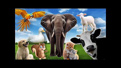 Learn about Adorable Animals : Cat, dog, duck, otter, cow, squirrel, otter - Animal Sounds