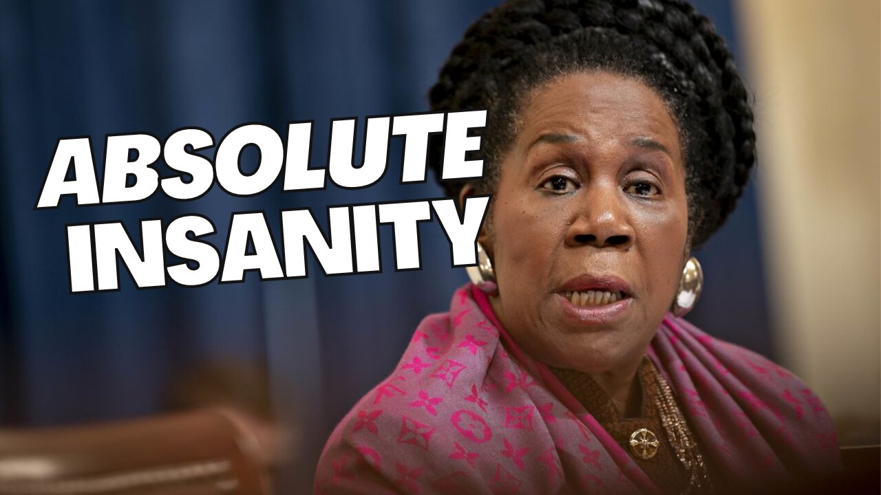 SHEILA JACKSON LEE SPONSORS BILL TO CRIMINALIZE CRITICISM of PEOPLE OF COLOR