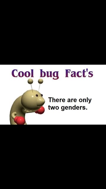 Non Binary People Are DELUSIONAL