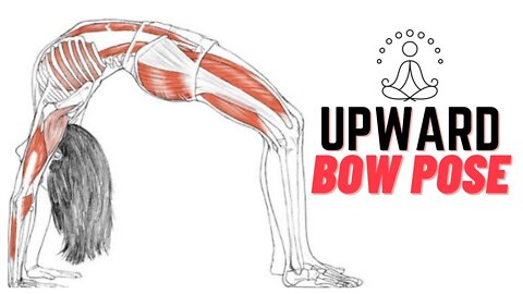 Upward Bow Pose | Becoming A Better Athlete | Urdva Dhanurasana