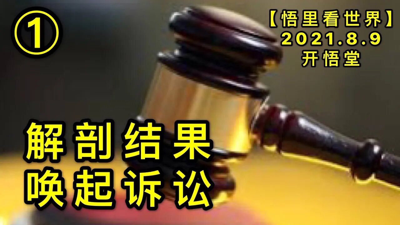 KWT2231(1)解剖结果，唤起诉讼20210809-6【悟里看世界】