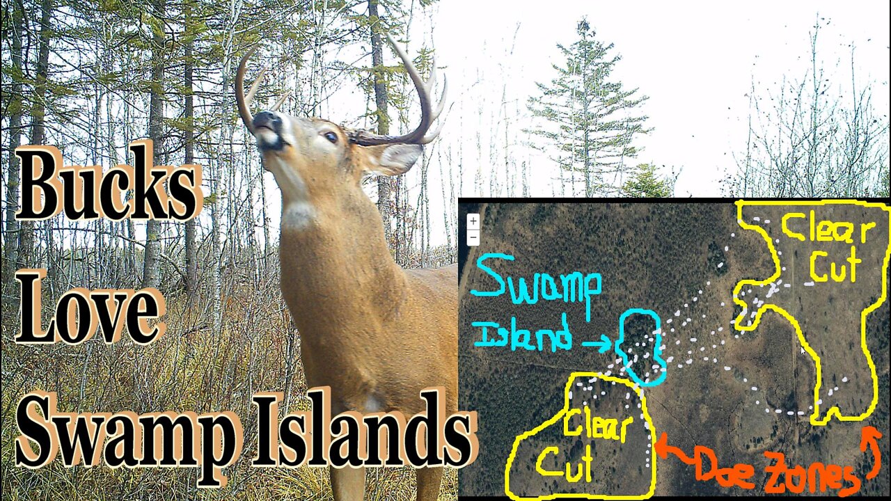 Hunting Swamp Islands; Strategy