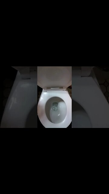 American Standard Glacier Bay | TBrown0065 #shorts