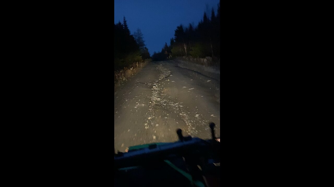 Moose wouldn’t get up the road 