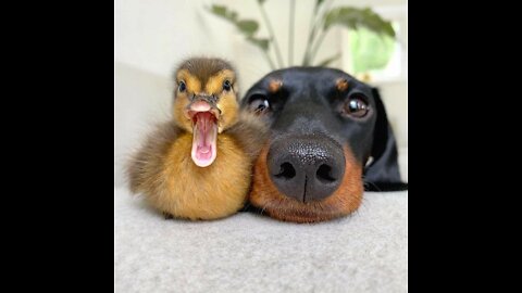 Feel Like You're on Hold????