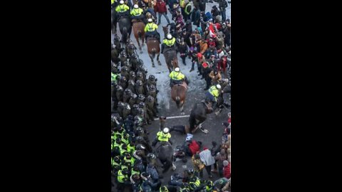 Peaceful protester trampled by Ottawa police