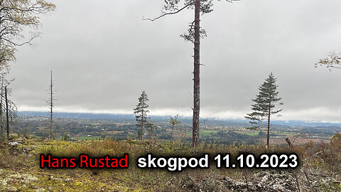 Skogpod 11. oktober 2023