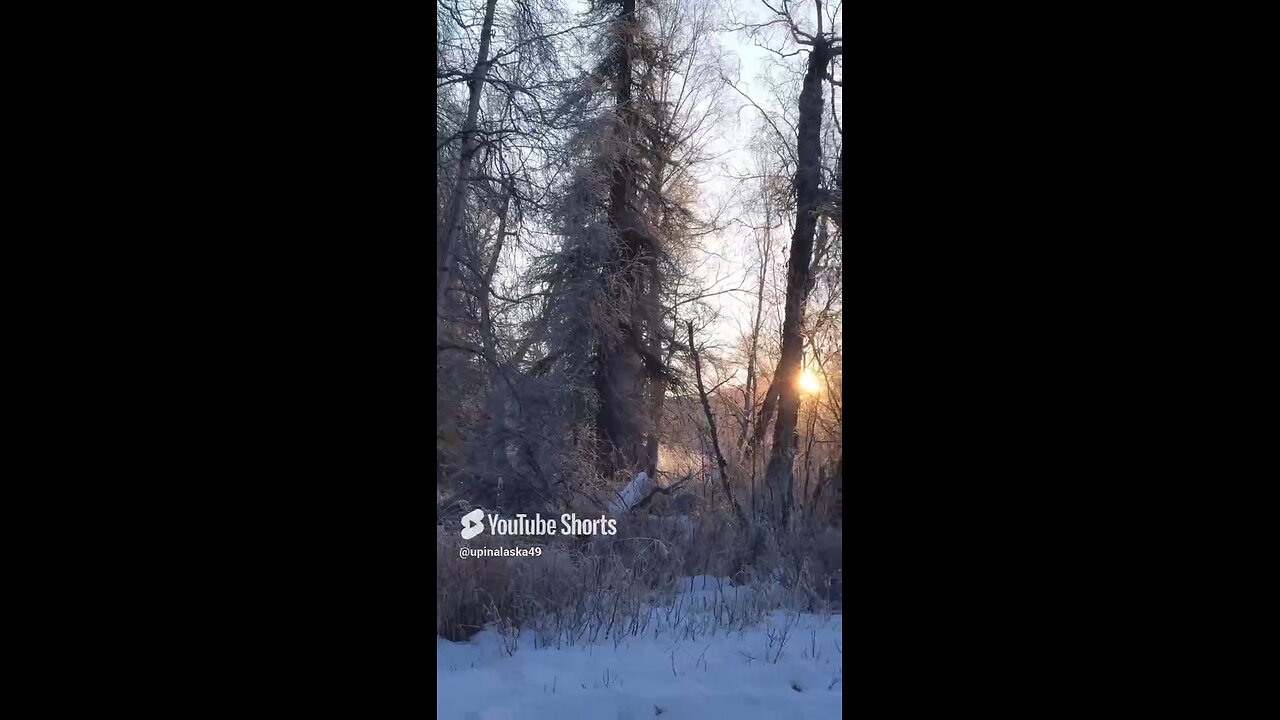 Cold November Air #subscribe #Alaska #Outdoors #Nature #Creek #Sunrise #Shorts #iPhone #Winter #fyp